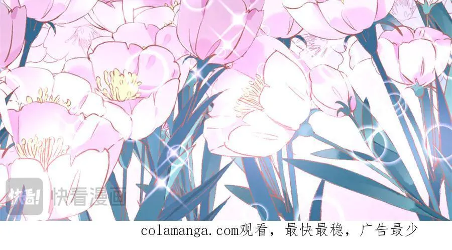 604 第71页