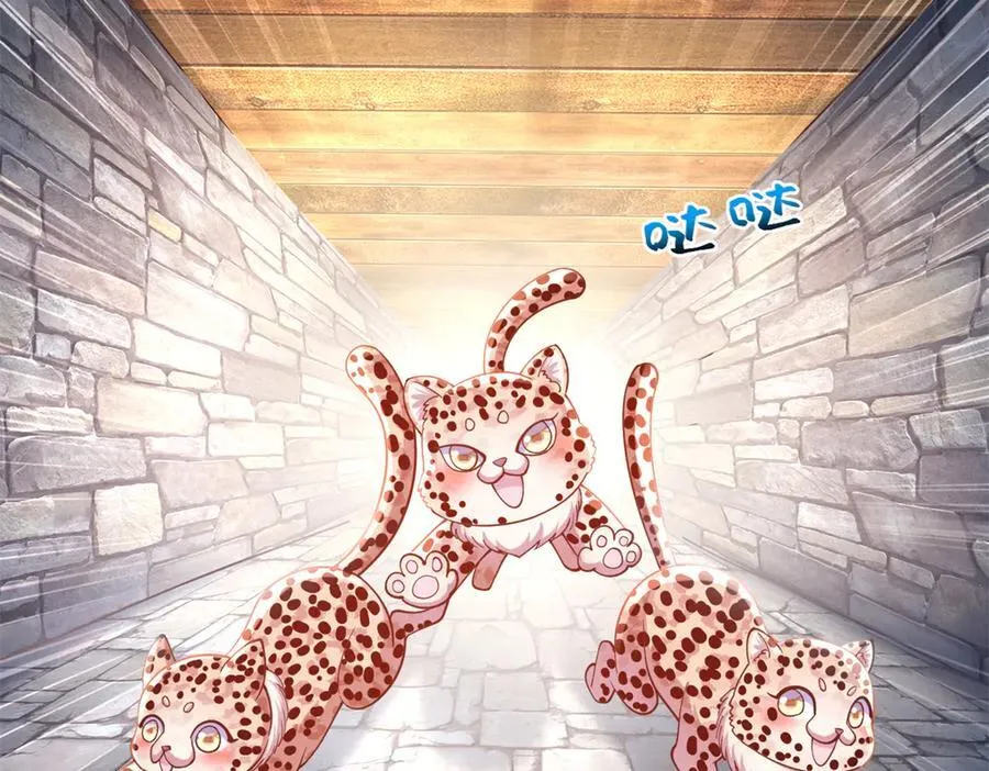 605 第3页