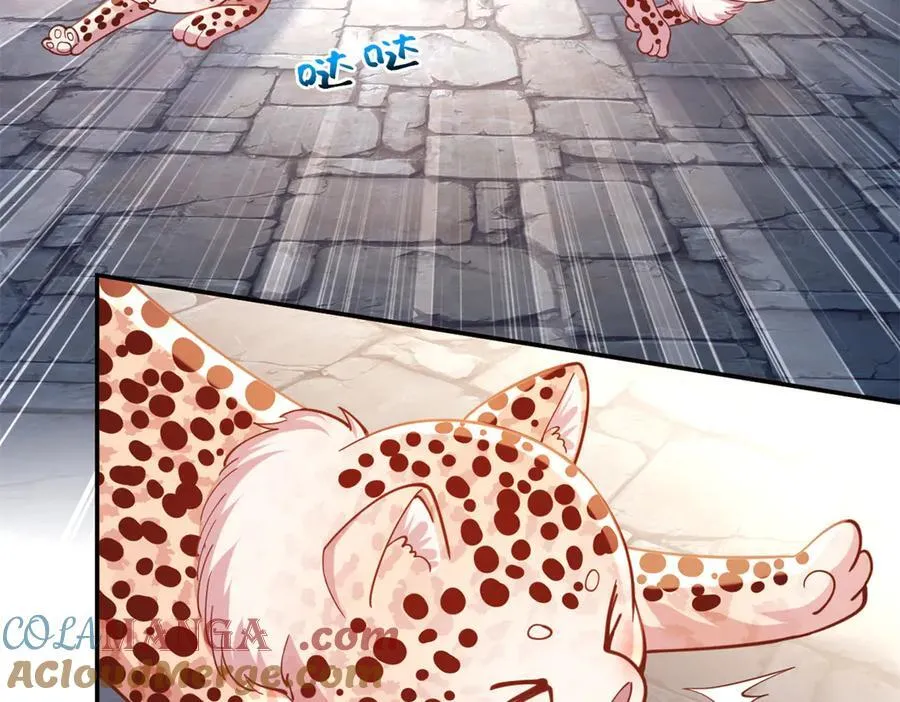 605 第4页