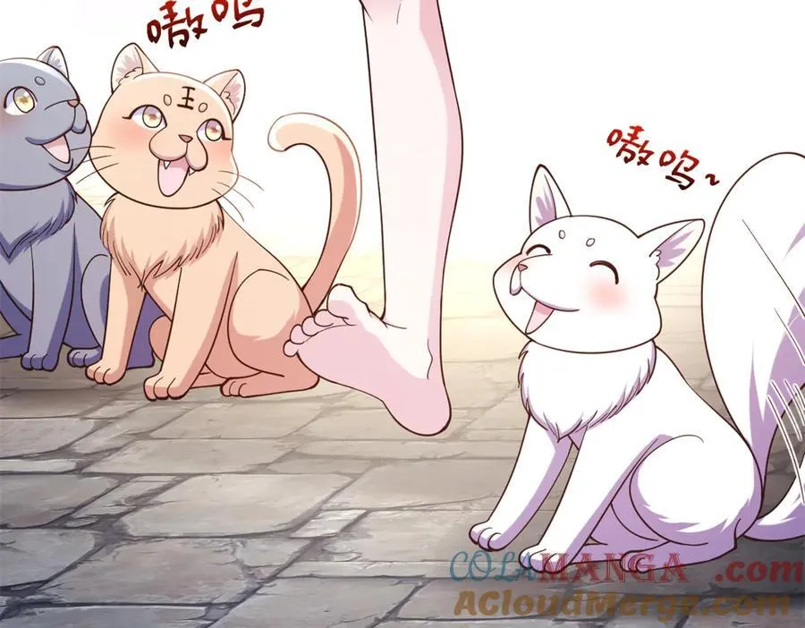 605 第13页