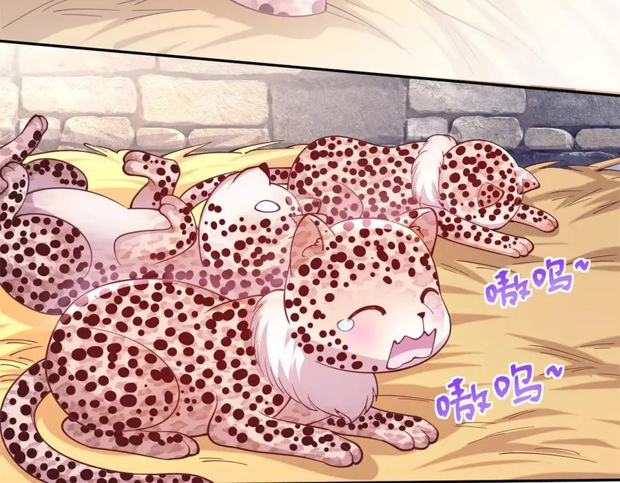 605 第50页