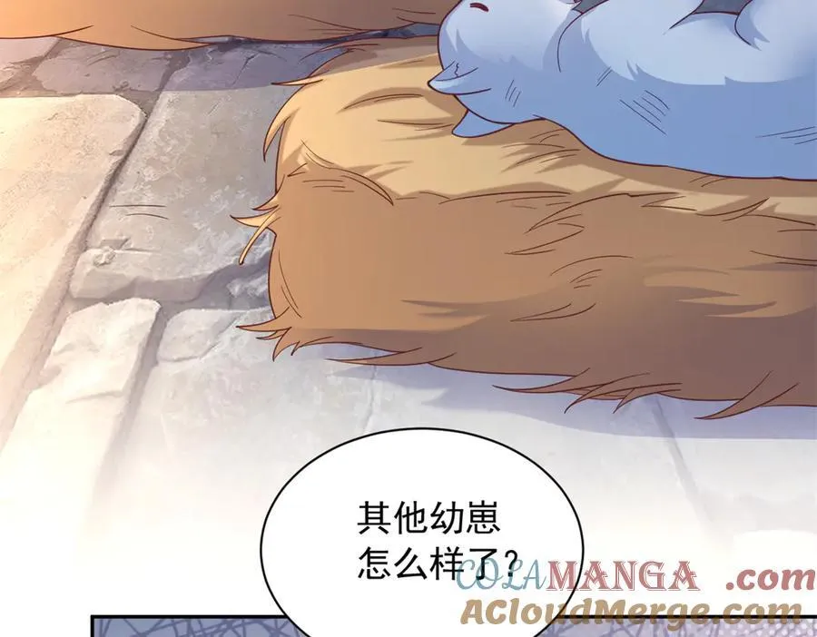 605 第55页