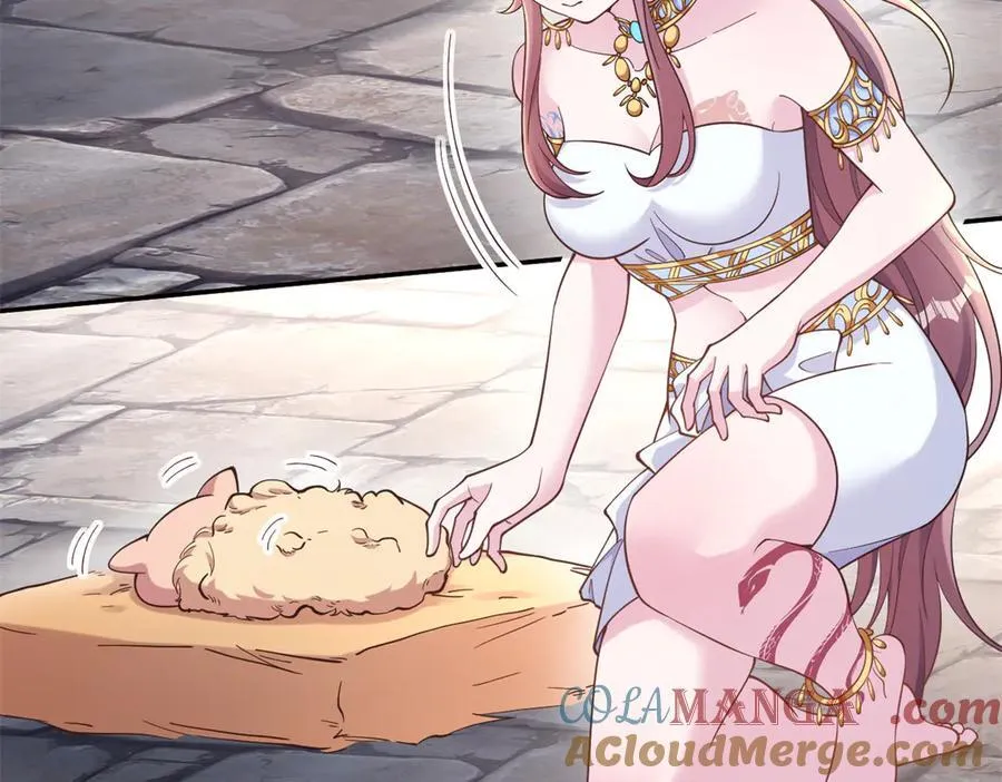 605 第61页