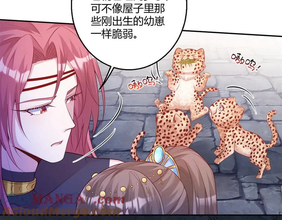 606 第40页