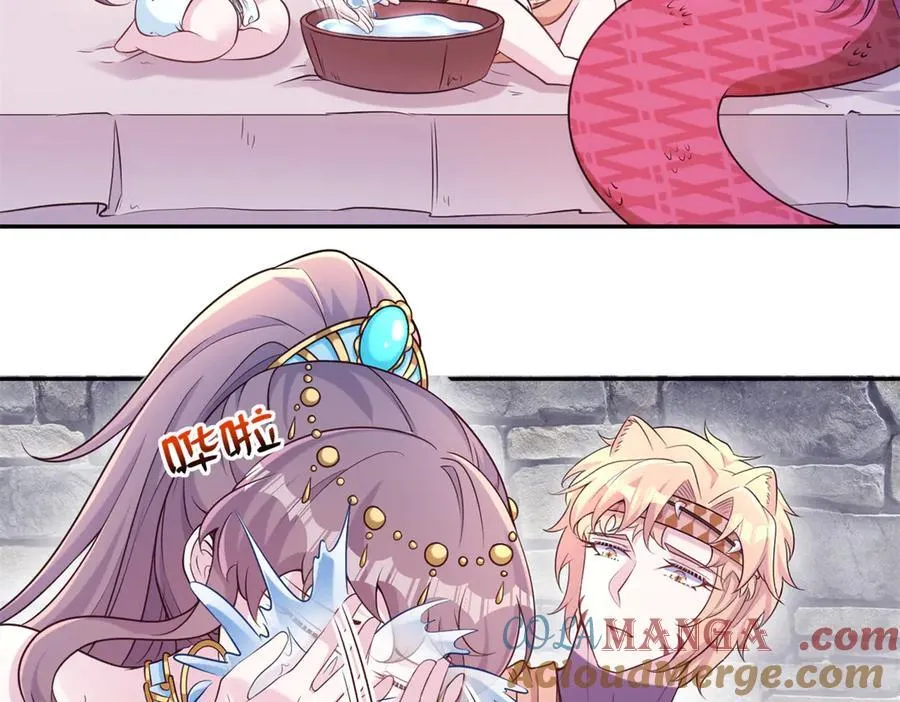 606 第61页