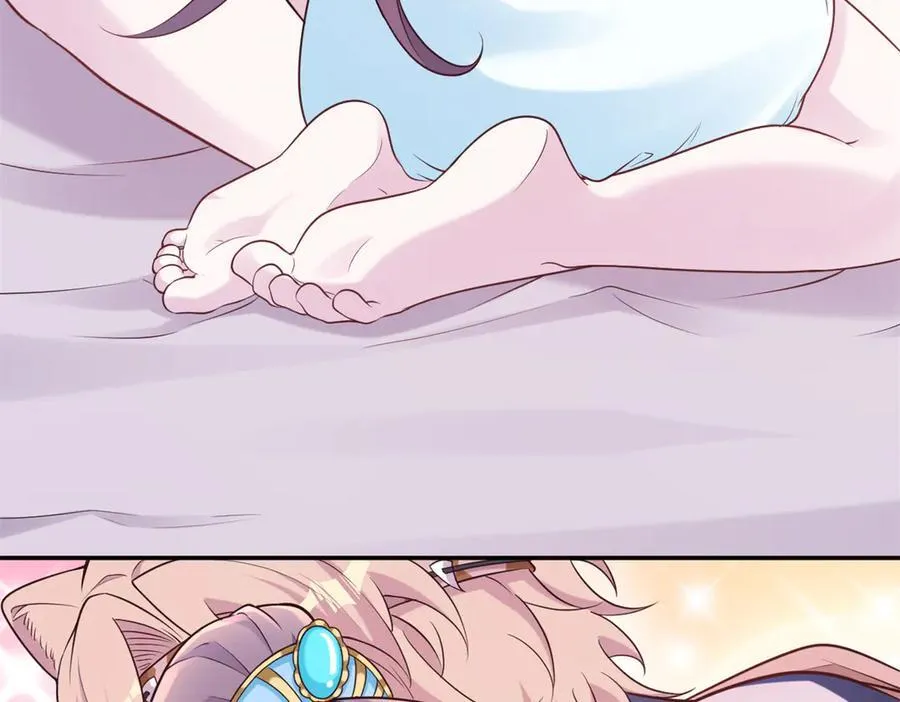 606 第66页