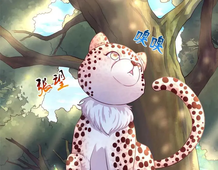 607 第7页
