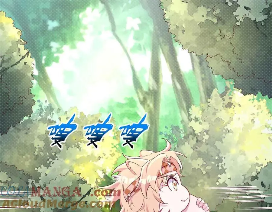 607 第41页