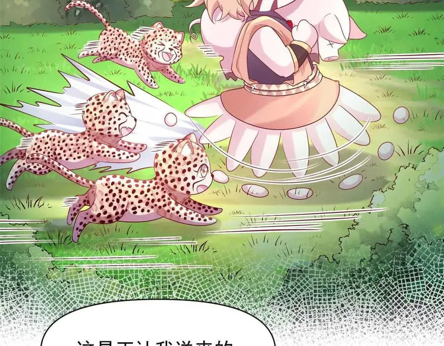 607 第42页