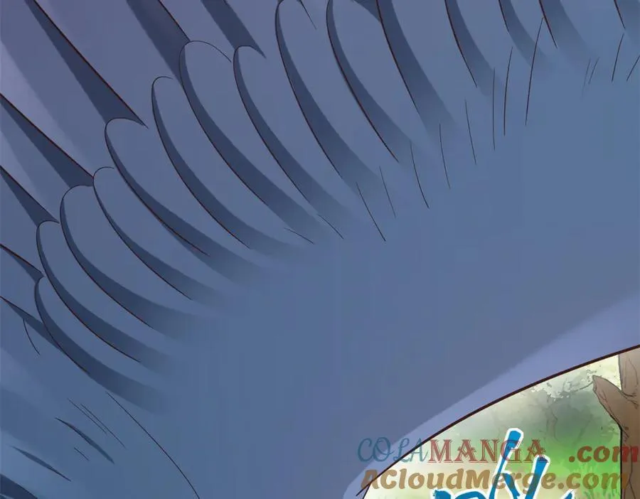 608 第37页