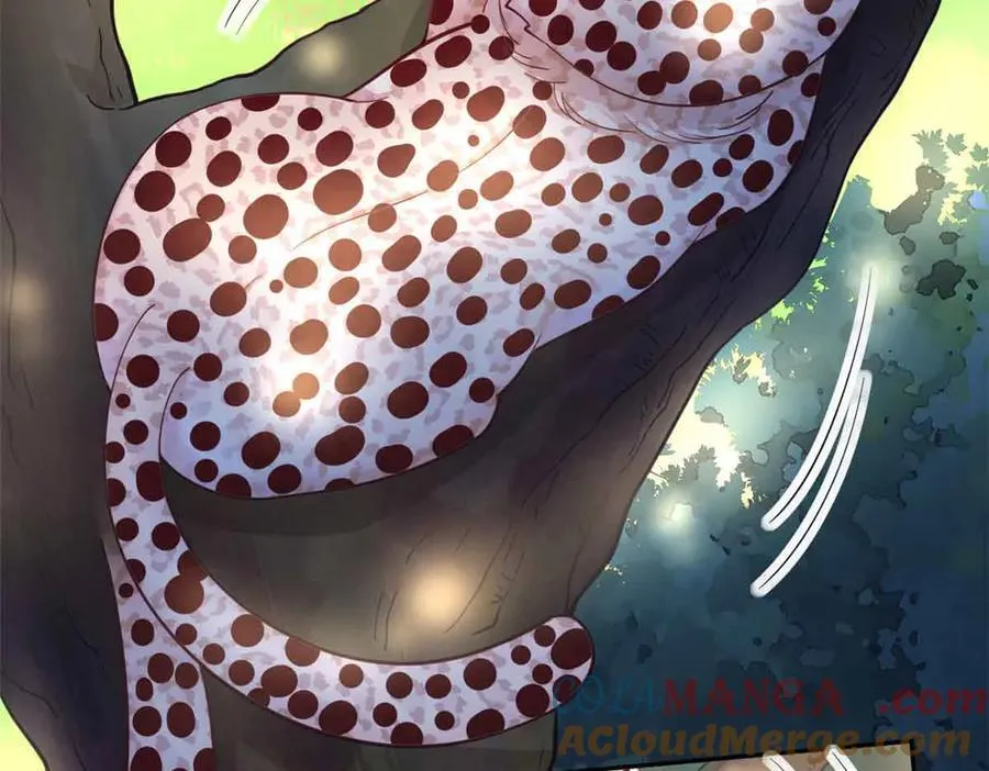 609 第25页