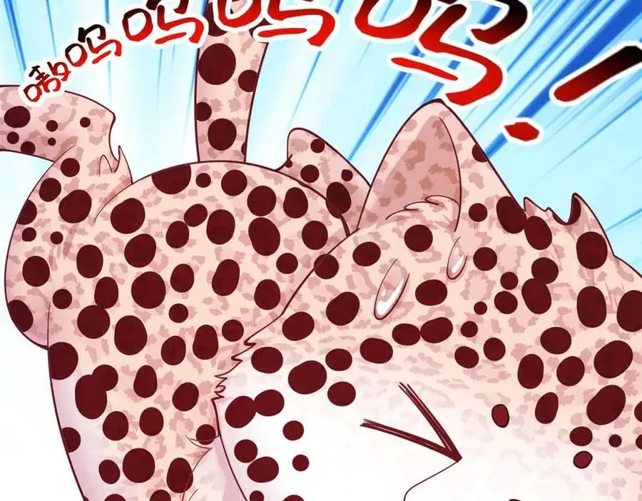 609 第27页