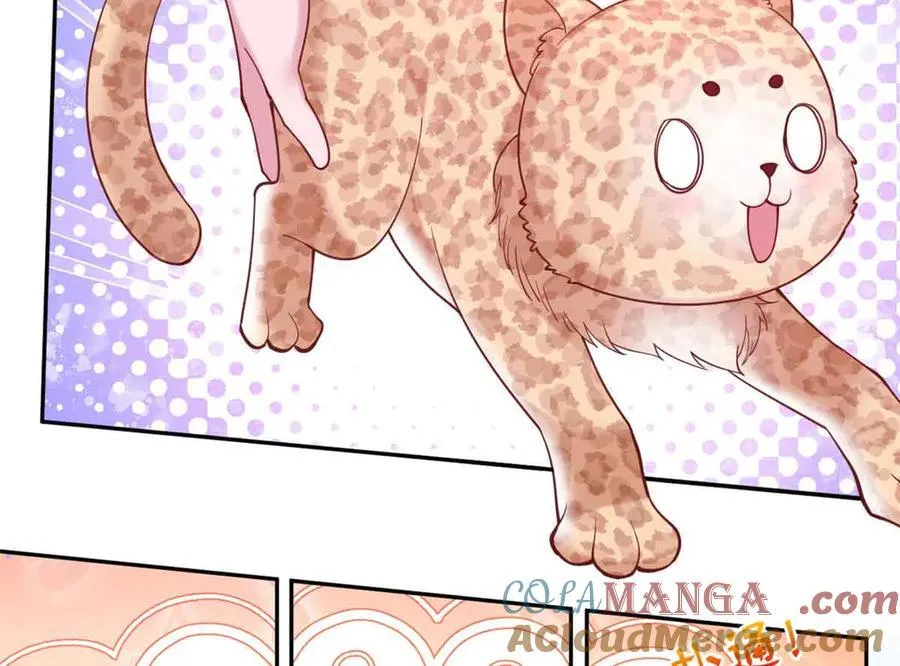 609 第34页