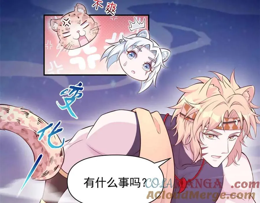 609 第49页