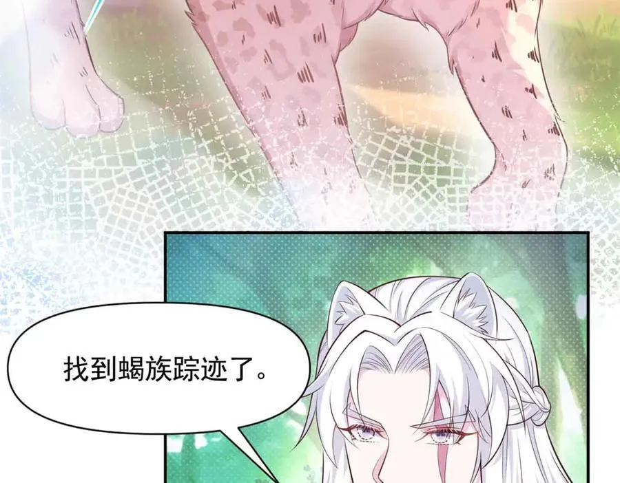 609 第51页