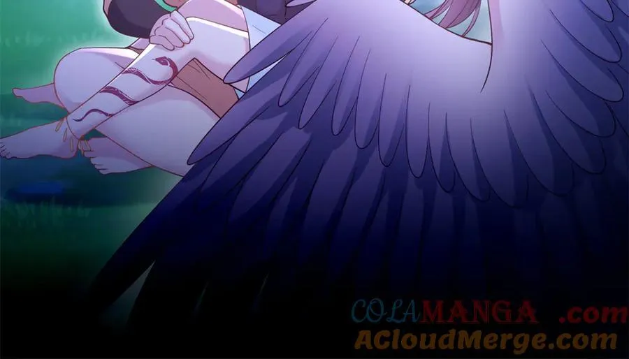 612 第61页