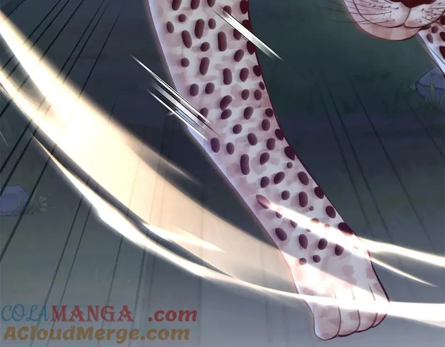 613 第28页