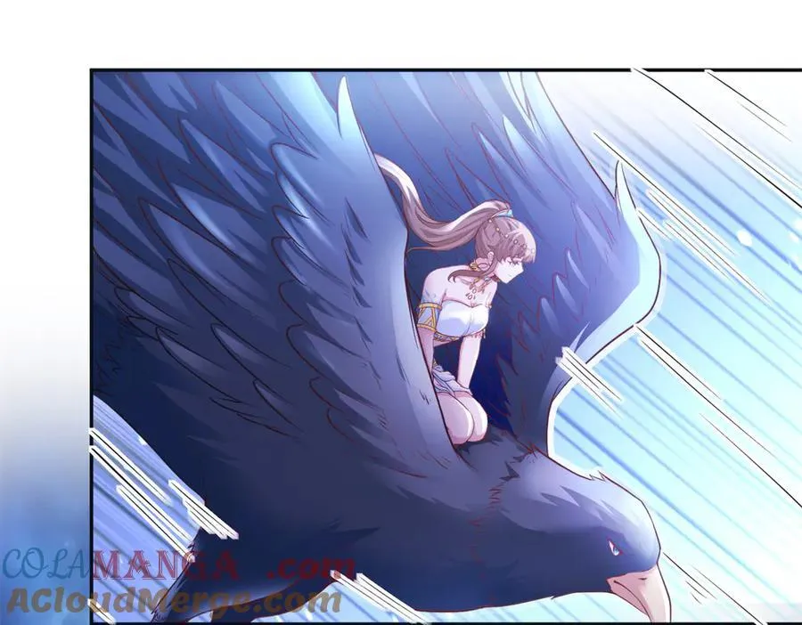 613 第31页