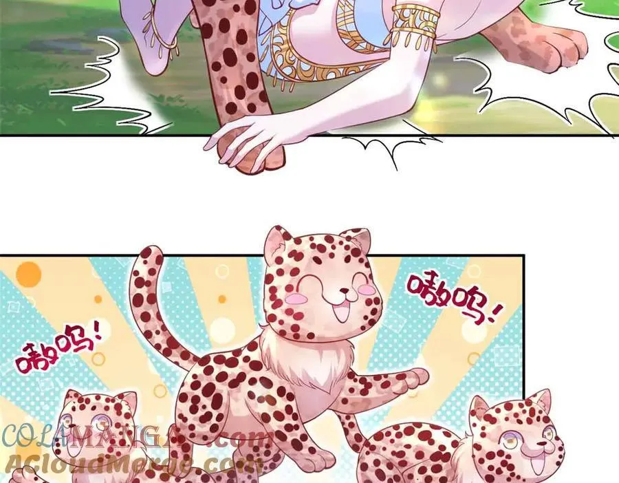 615 第29页