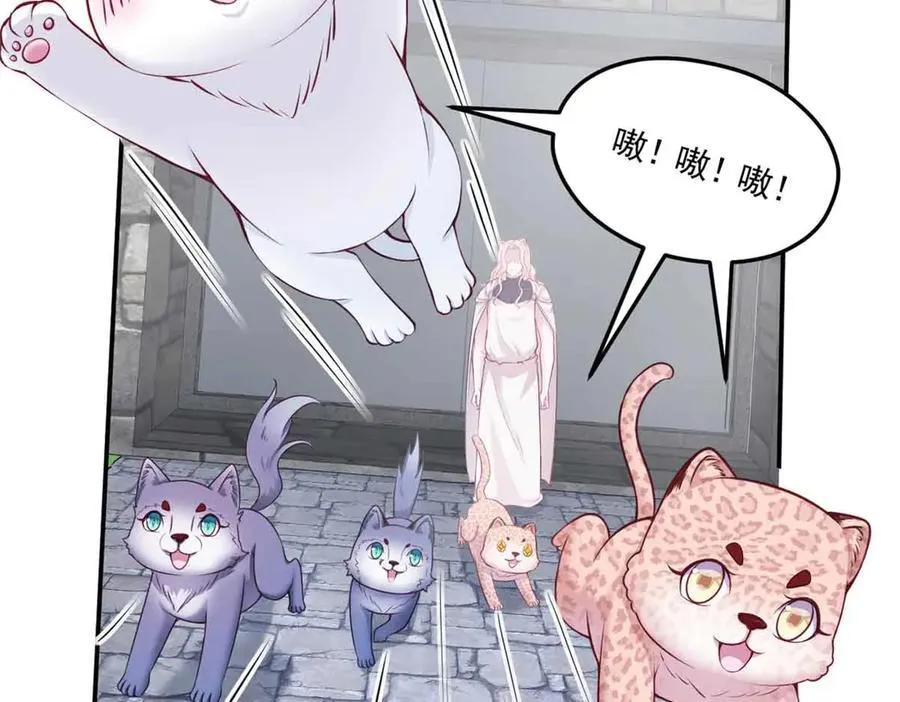 616 第31页