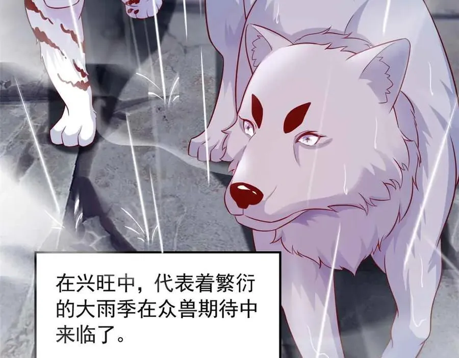 616 第51页