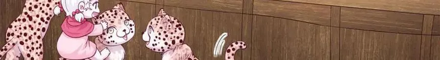 617 第38页