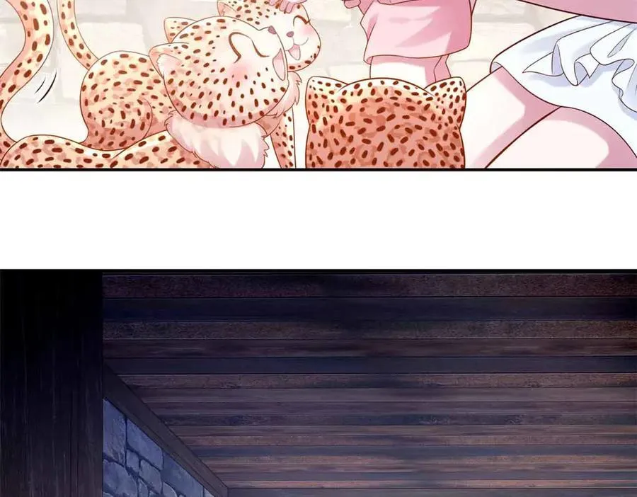 618 第66页