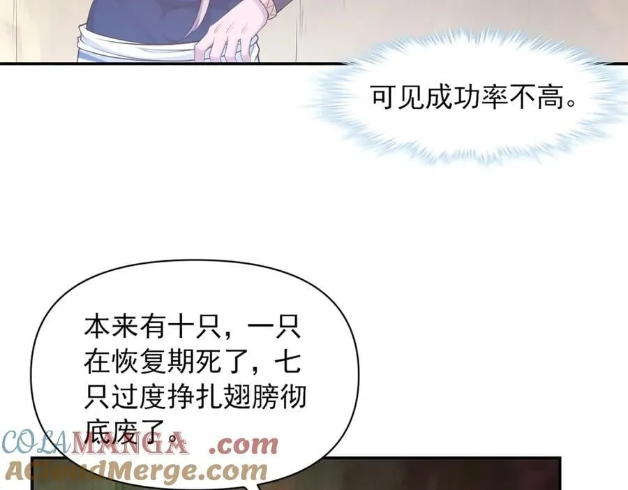 619 第22页
