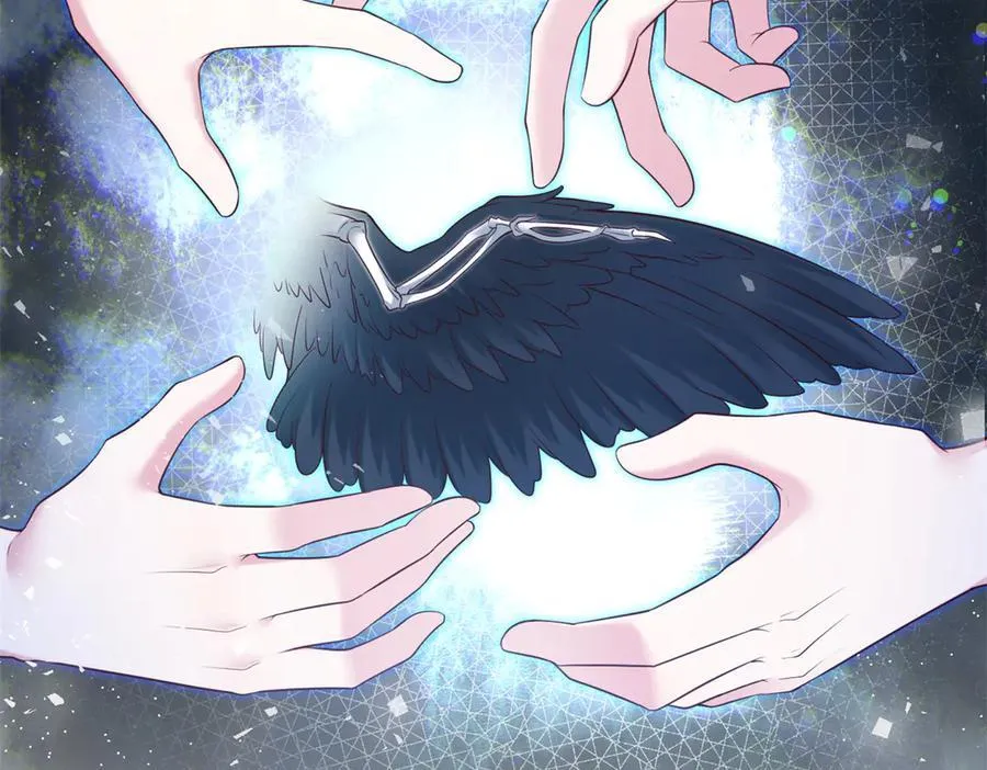 619 第54页