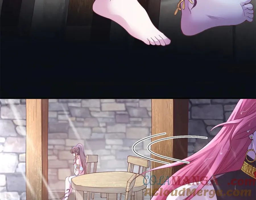 620 第43页
