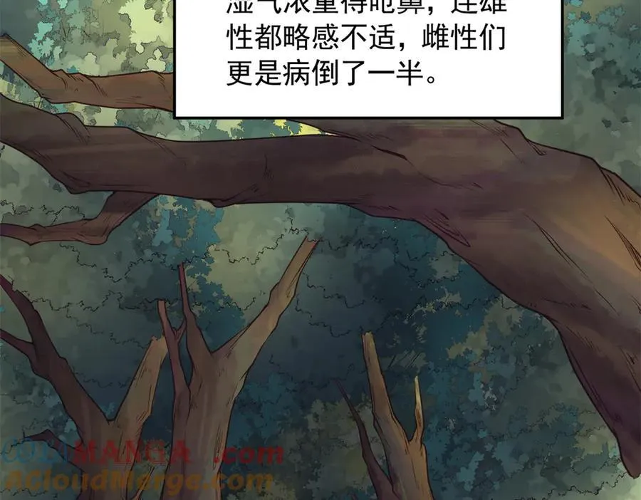 620 第73页