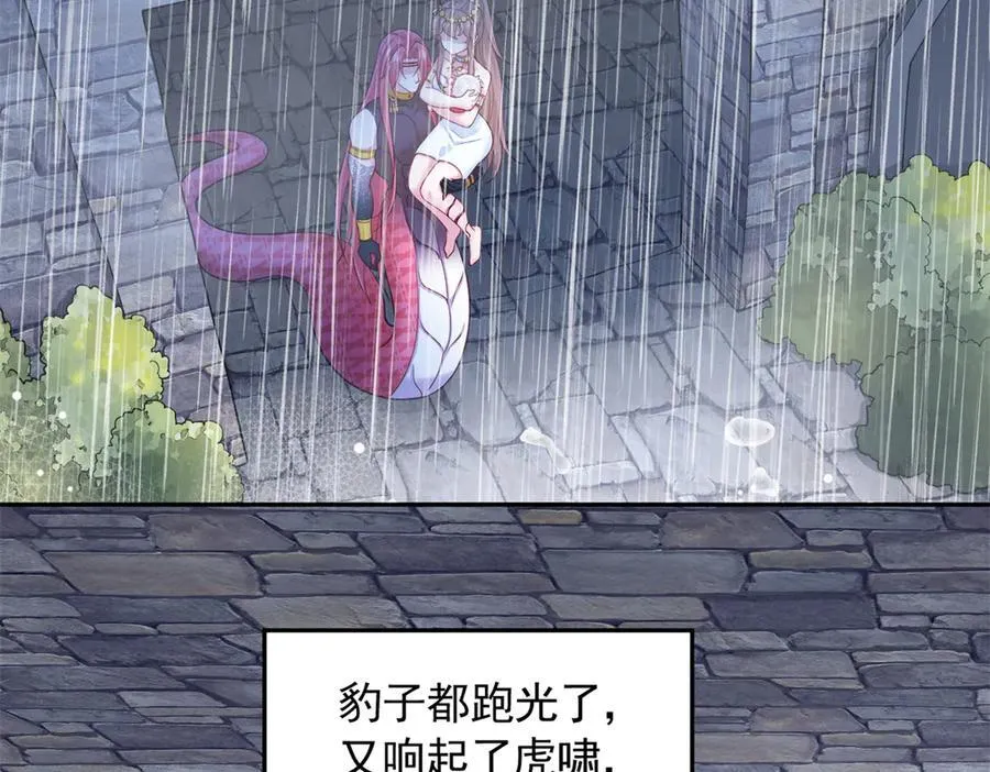 621 第41页