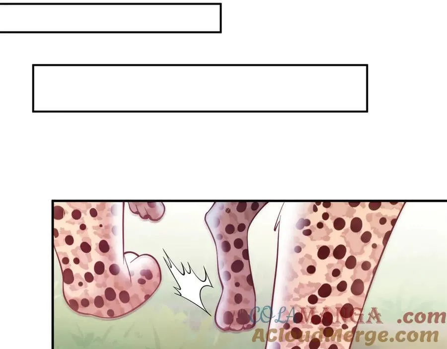 622 第52页