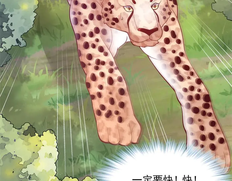 622 第54页