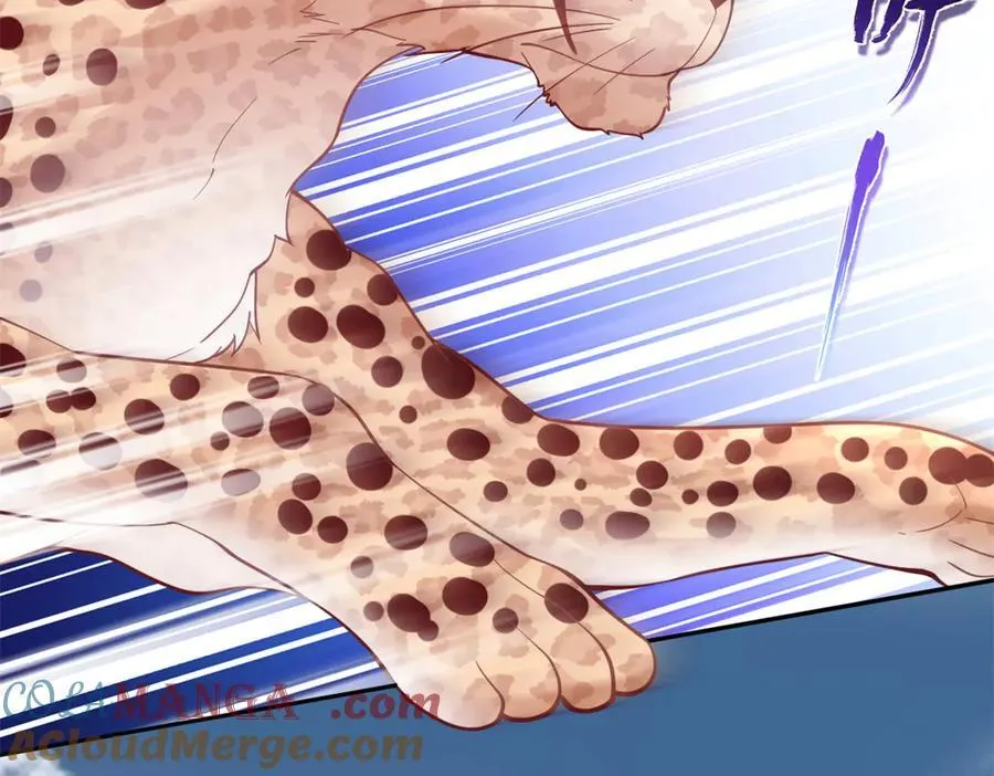 622 第61页