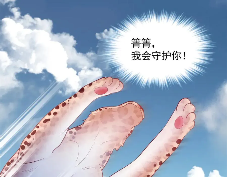 622 第62页