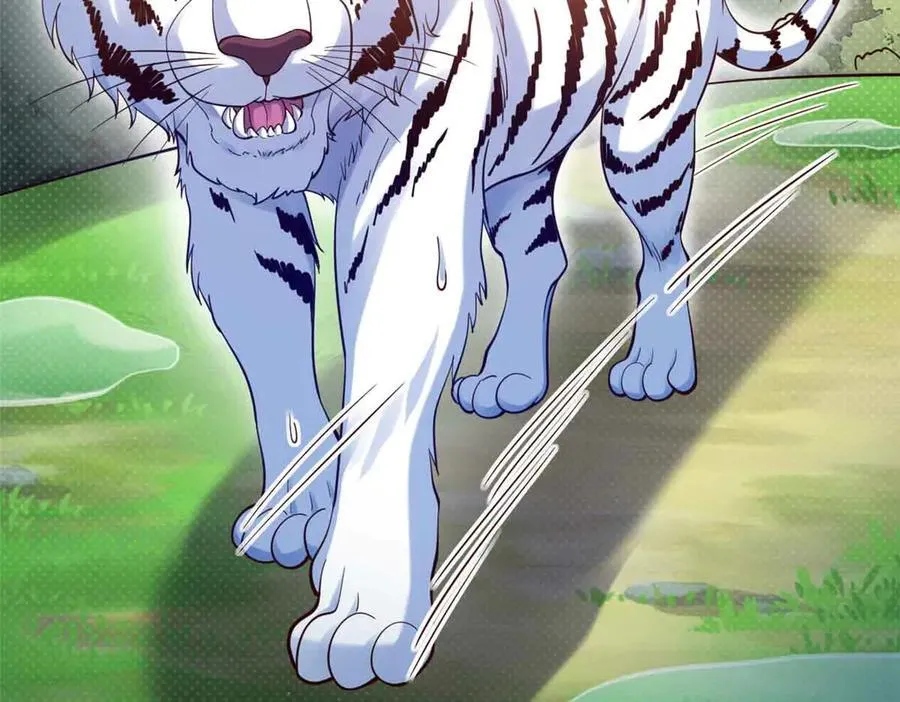 623 第48页