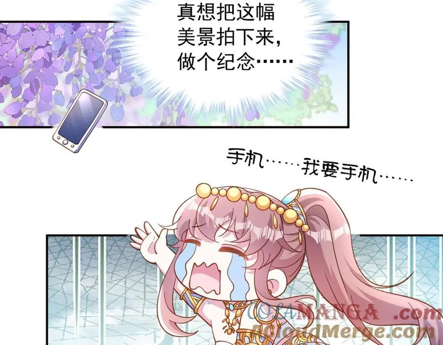 627 第64页