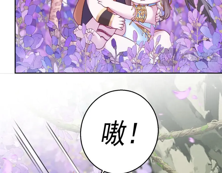 629 第41页