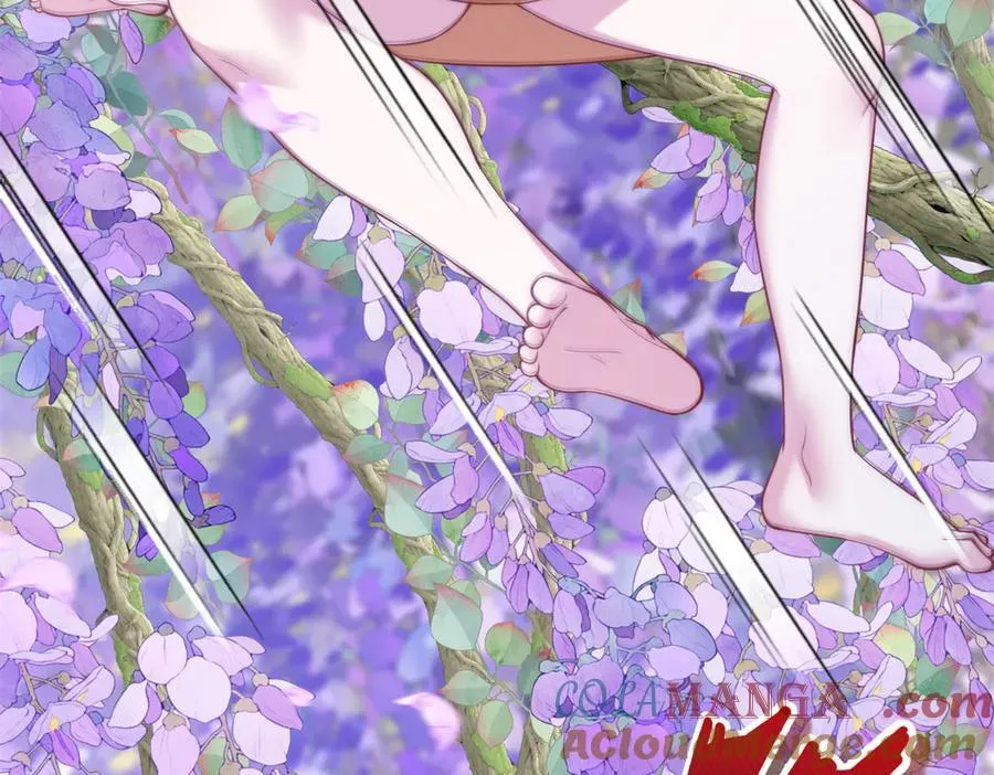 629 第43页