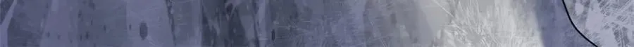 645 第63页