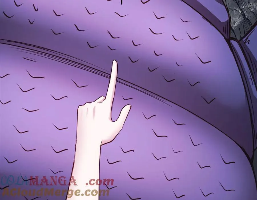 645 第88页