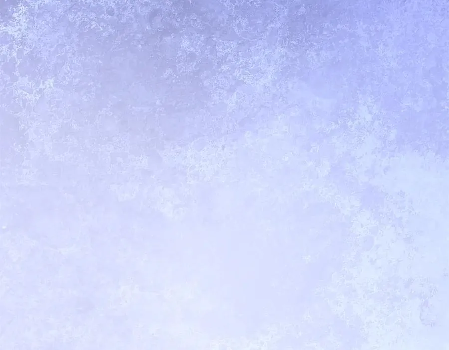 645 第92页