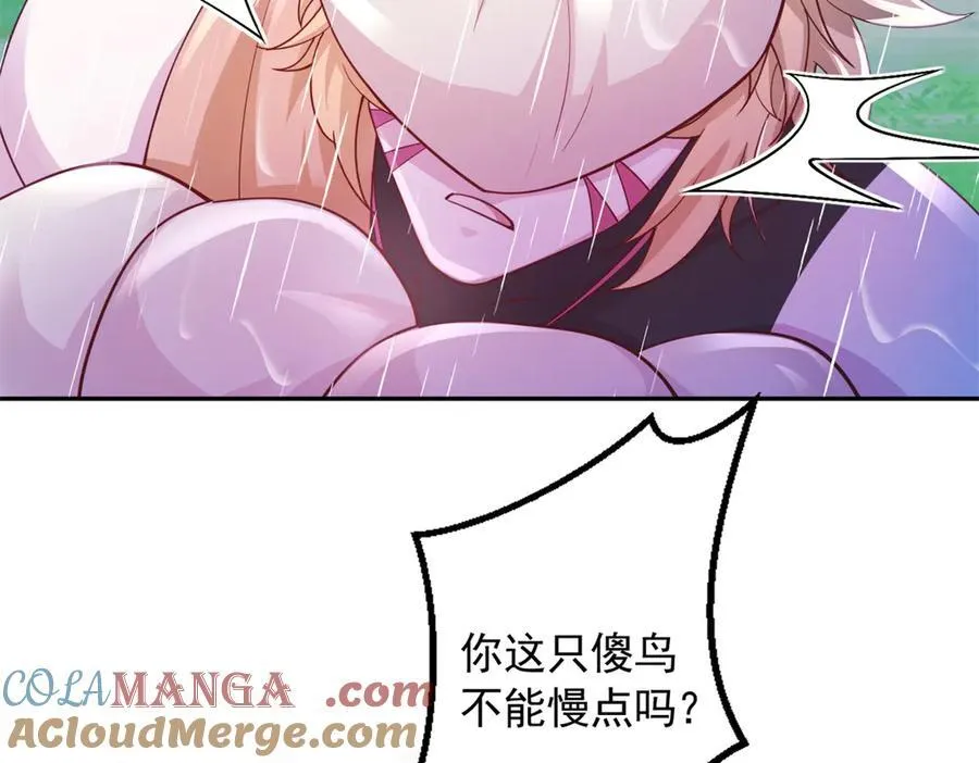 646 第13页