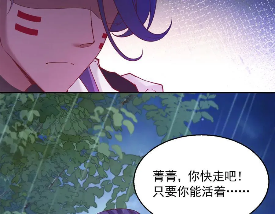 646 第71页