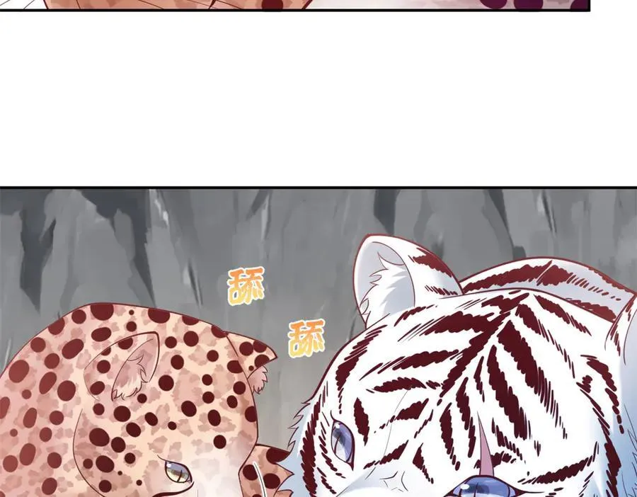 648 第18页