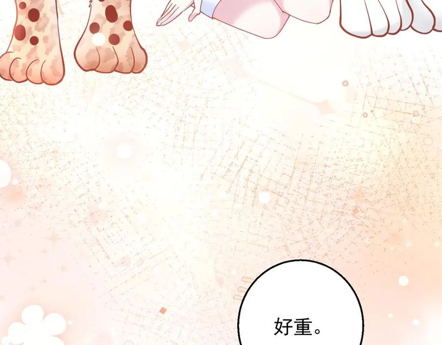 648 第26页