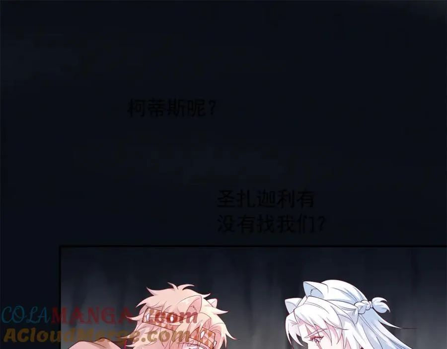 648 第46页