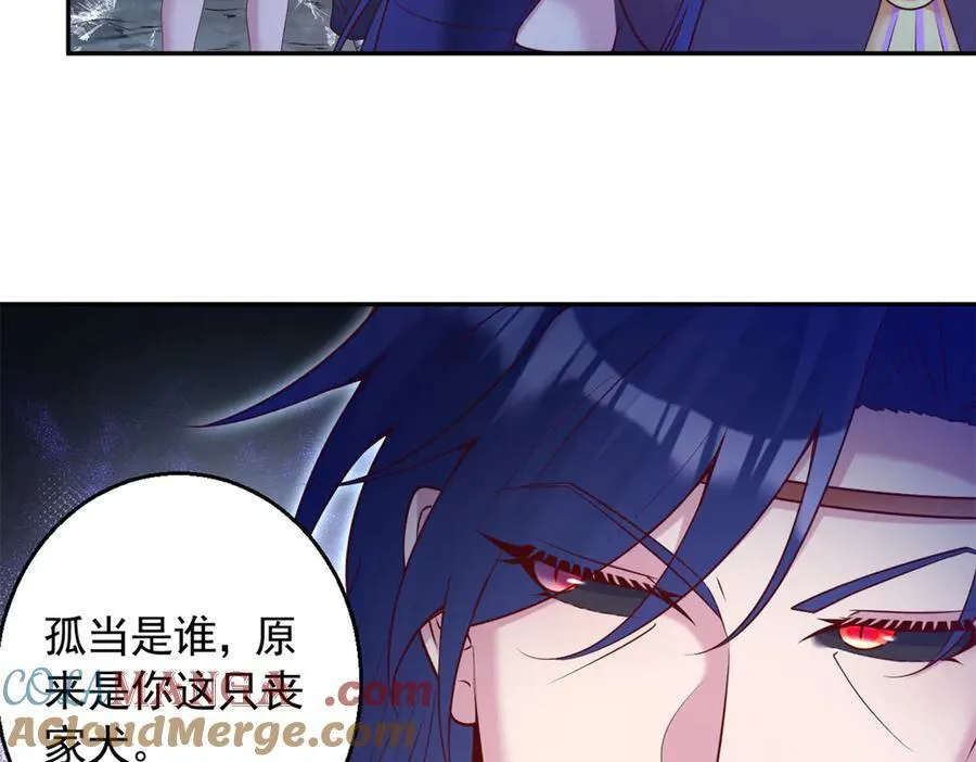 654 第49页