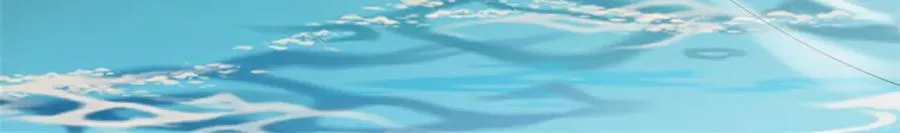 656 第68页